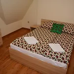Goscinne Hosana Homestay *