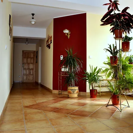 Goscinne Hosana Homestay *